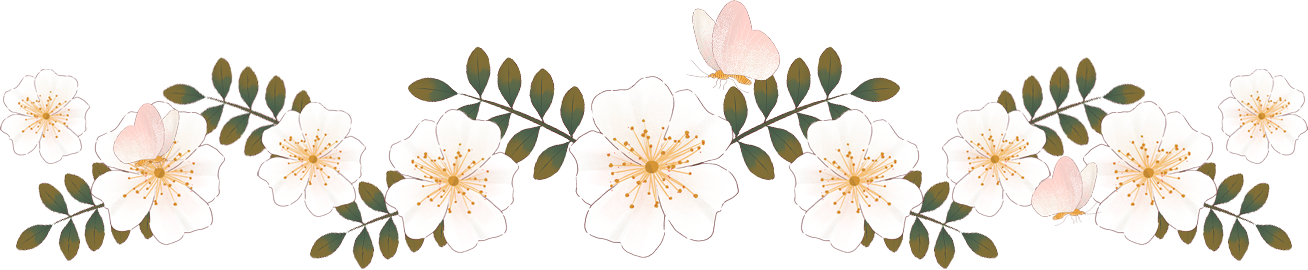 Soft Painting White Wild Rose Flower Line Border